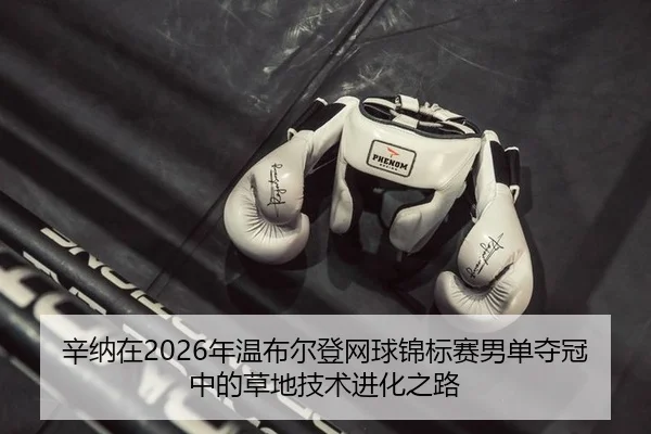 xin-na-zai-nian-wen-bu-er-deng-wang-qiu-jin-biao-sai-nan-dan-duo-guan-zhong-de-cao-di-ji-shu-jin-hua-zhi-lu-2-487.jpg