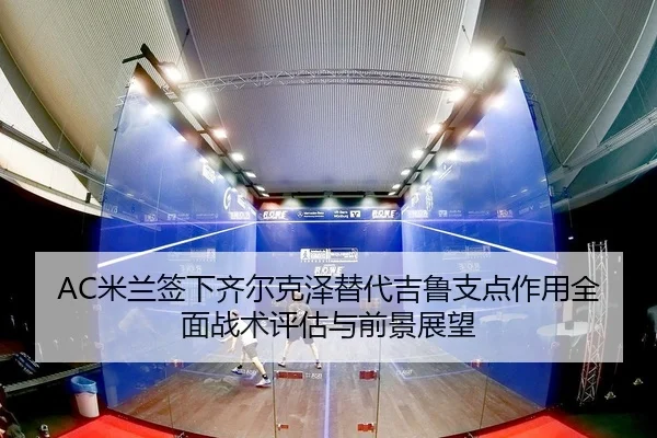 AC米兰签下齐尔克泽替代吉鲁支点作用全面战术评估与前景展望